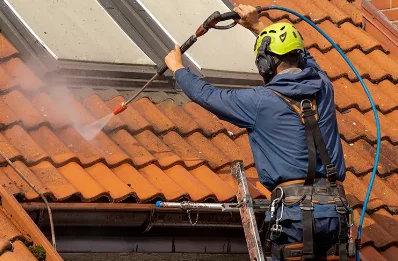 Démoussage et hydrofuge de toiture à Larnaud